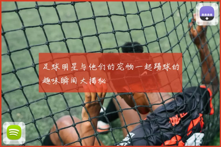 足球明星与他们的宠物一起踢球的趣味瞬间大揭秘