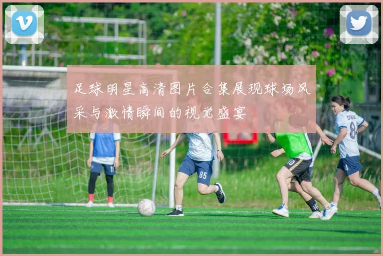 足球明星高清图片合集展现球场风采与激情瞬间的视觉盛宴