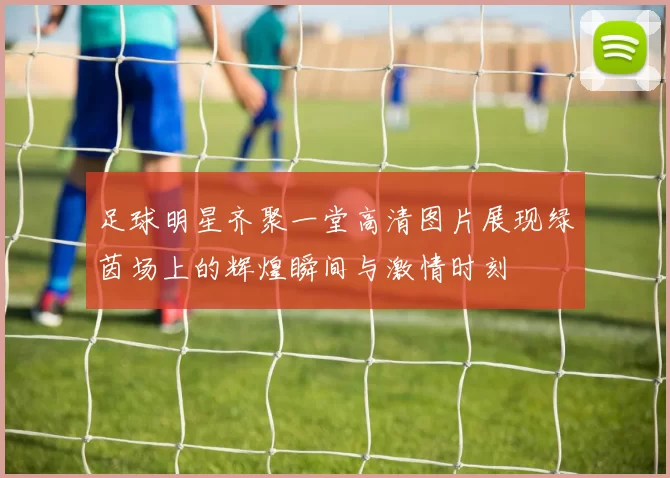 足球明星齐聚一堂高清图片展现绿茵场上的辉煌瞬间与激情时刻