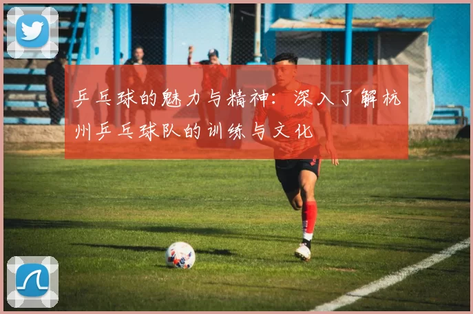 乒乓球的魅力与精神：深入了解杭州乒乓球队的训练与文化