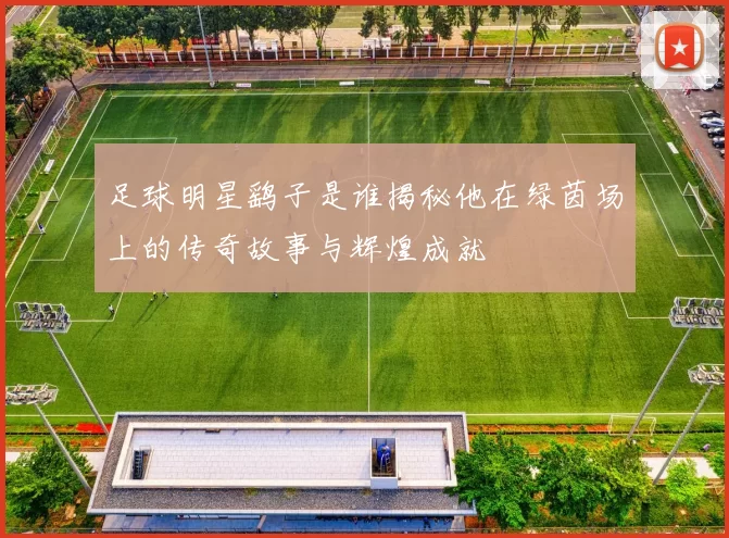 足球明星鹞子是谁揭秘他在绿茵场上的传奇故事与辉煌成就