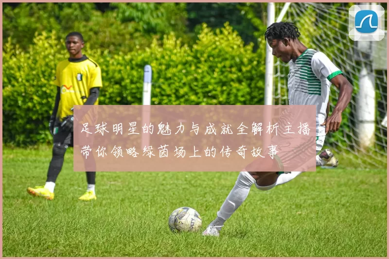 足球明星的魅力与成就全解析主播带你领略绿茵场上的传奇故事