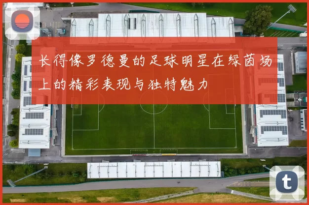 长得像罗德曼的足球明星在绿茵场上的精彩表现与独特魅力