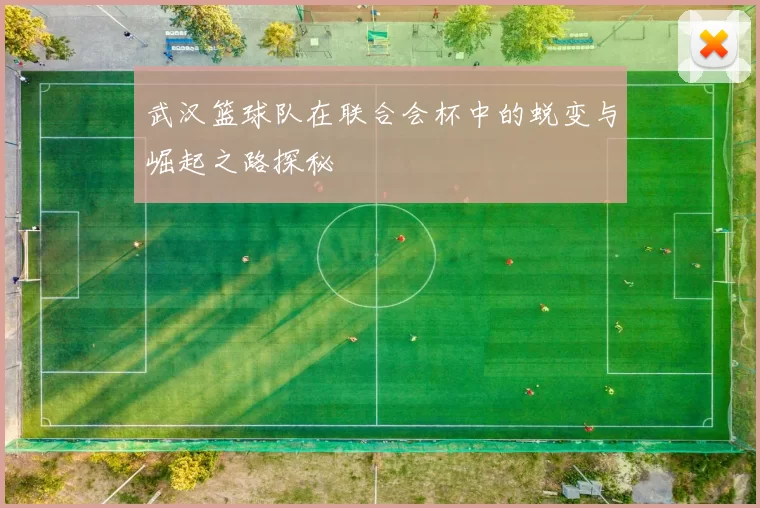 武汉篮球队在联合会杯中的蜕变与崛起之路探秘
