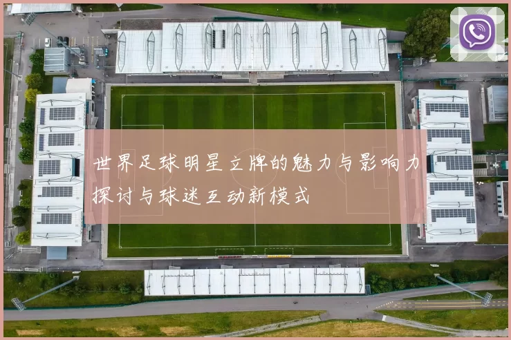 世界足球明星立牌的魅力与影响力探讨与球迷互动新模式