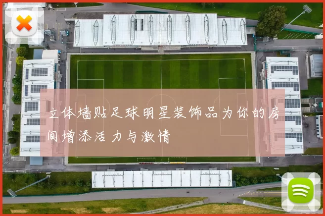 立体墙贴足球明星装饰品为你的房间增添活力与激情