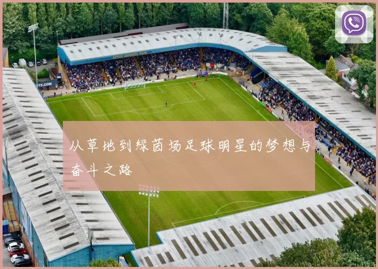从草地到绿茵场足球明星的梦想与奋斗之路