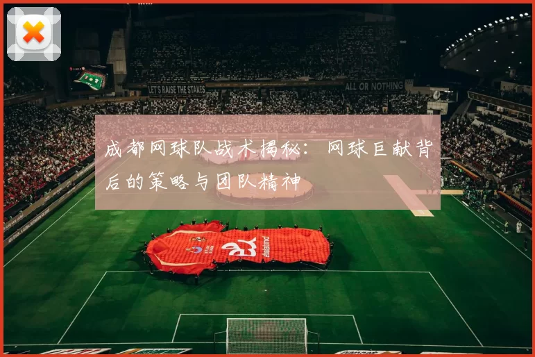 成都网球队战术揭秘：网球巨献背后的策略与团队精神