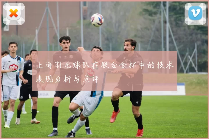 上海羽毛球队在联合会杯中的技术表现分析与点评