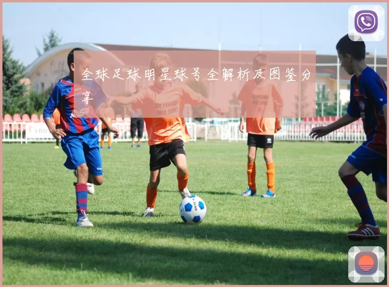 全球足球明星球号全解析及图鉴分享