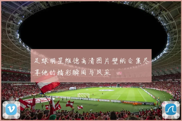 足球明星维德高清图片壁纸合集尽享他的精彩瞬间与风采